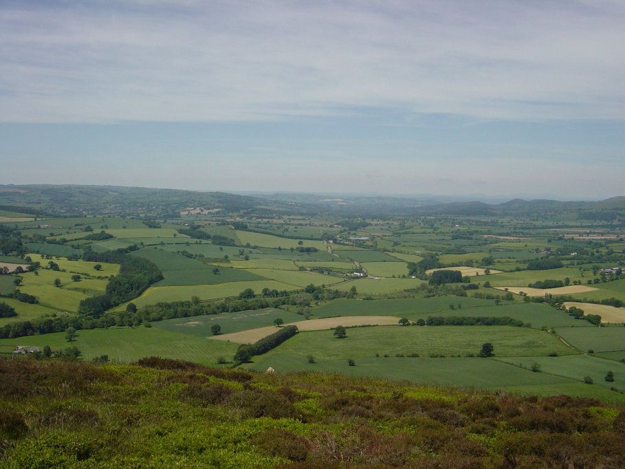 Along the long Mynd